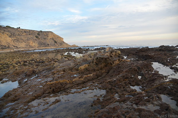 DSC 3737