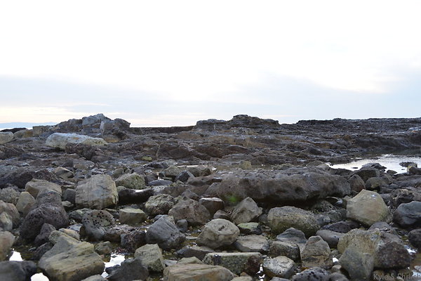 DSC 3693