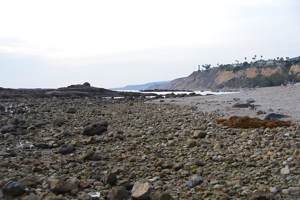DSC 3667
