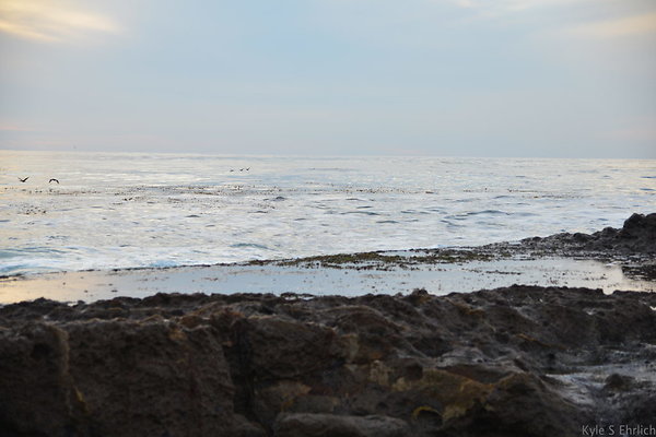 DSC 3764