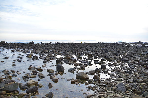DSC 3660