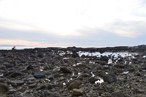 DSC 3669