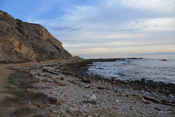 DSC 3628