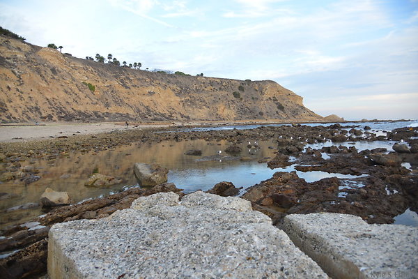 DSC 3777