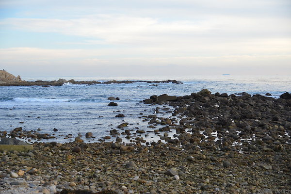 DSC 3618