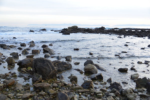 DSC 3655