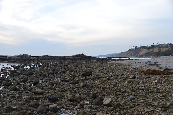 DSC 3670