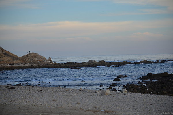 DSC 3607