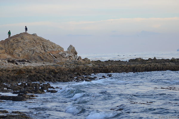 DSC 3645