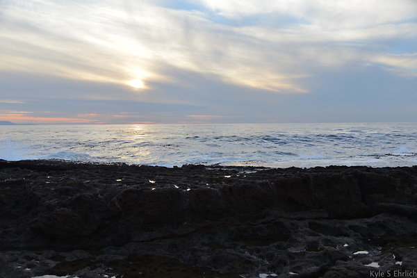 DSC 3718
