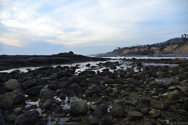 DSC 3687