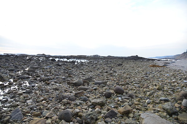 DSC 3661