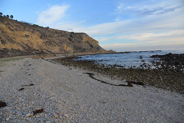 DSC 3622