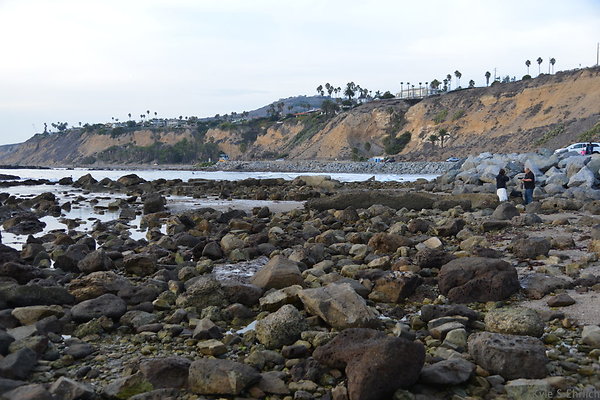 DSC 3695