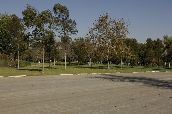  DSC7892