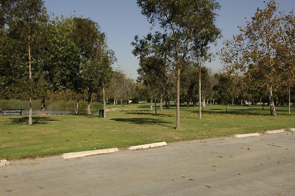  DSC7912