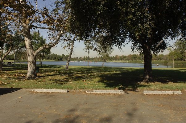  DSC7895