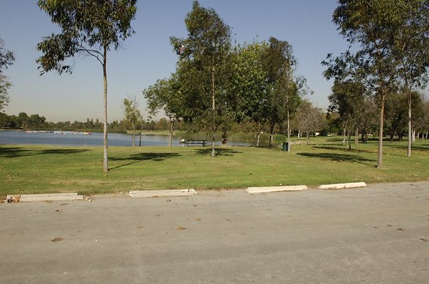  DSC7907