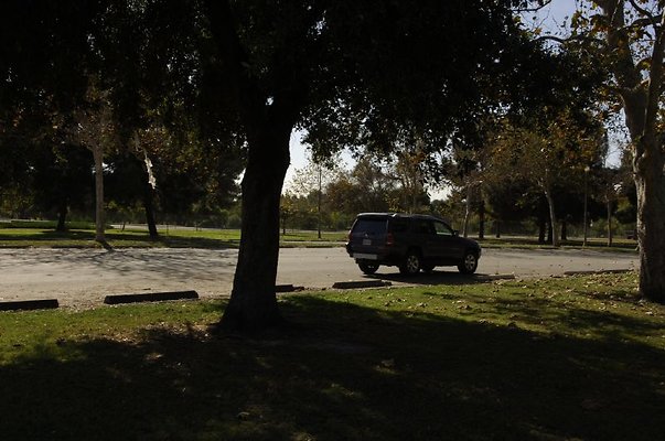 03 Area III Arbor Grove