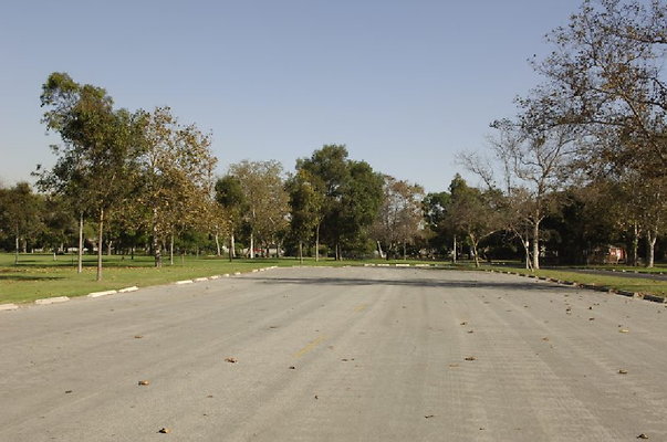  DSC7914