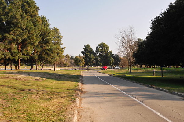 DSC 8900