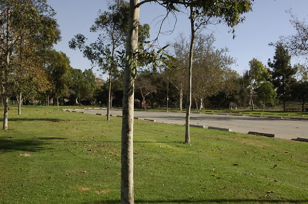  DSC7902