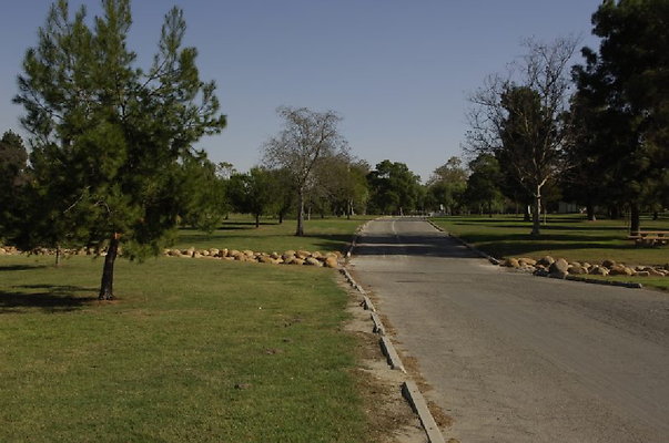  DSC7830