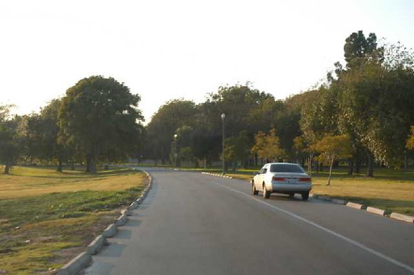 DSC 1296