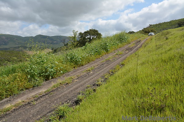 MDR 3836