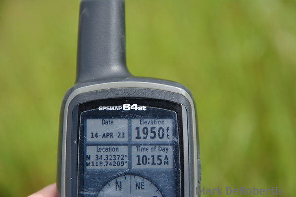 MDR 3798
