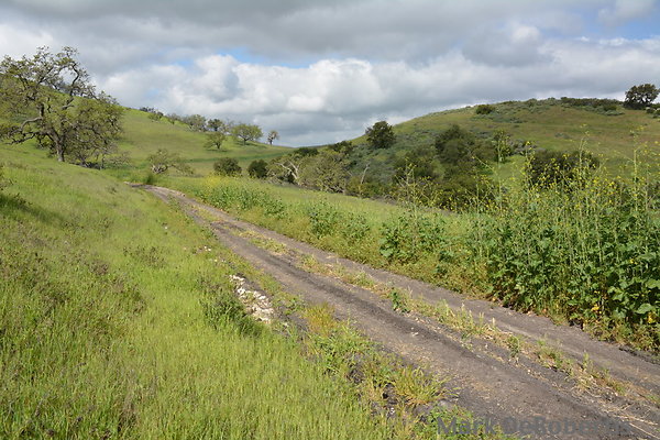 MDR 3838