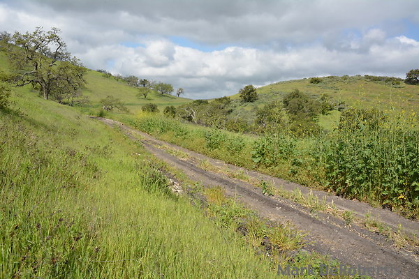MDR 3845