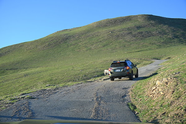 DSK 2750