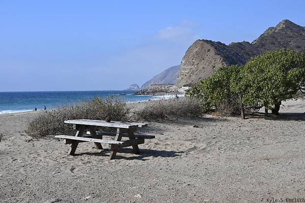 028 Sycamove Cove-South Ventura