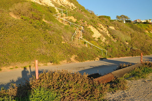 DSC 4721
