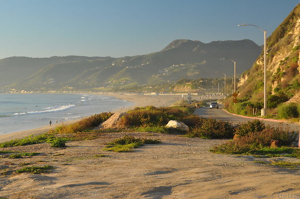 DSC 4701