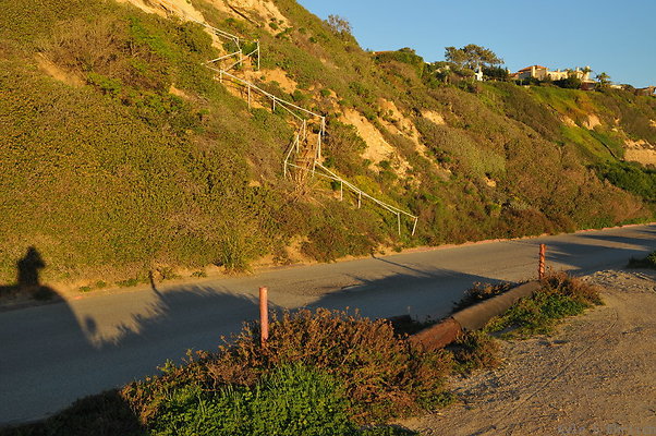DSC 4764