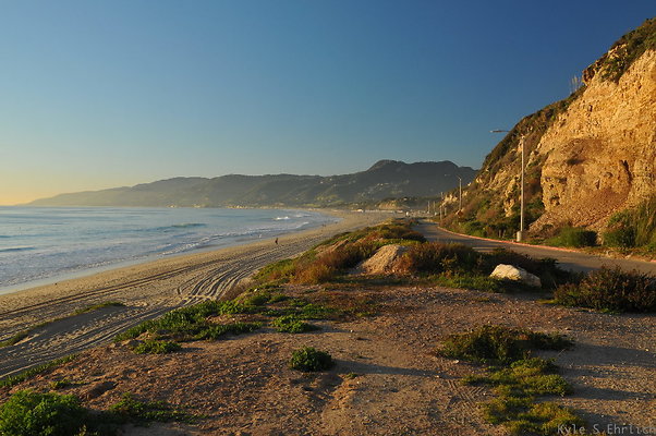 DSC 4733