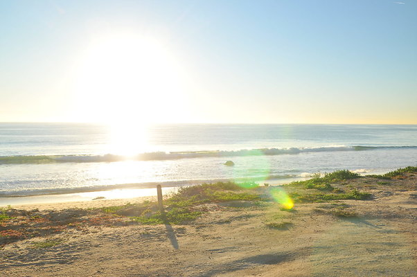 DSC 4660
