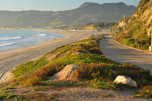 DSC 4755