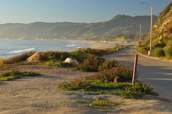 DSC 4709