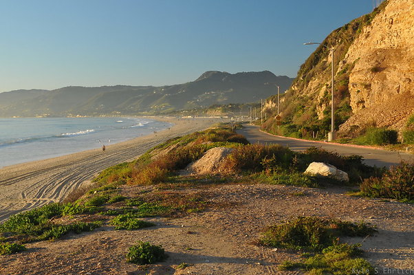 DSC 4730