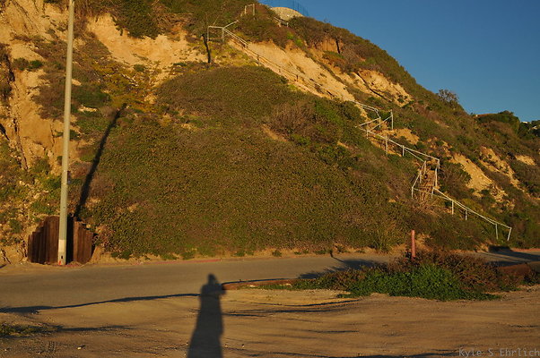 DSC 4725