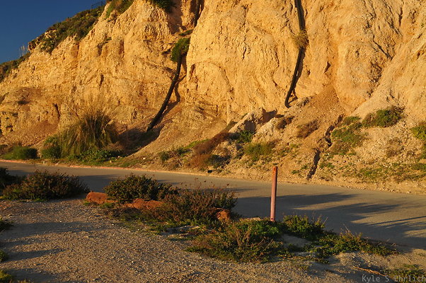 DSC 4734
