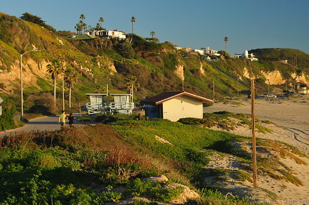 DSC 6728a