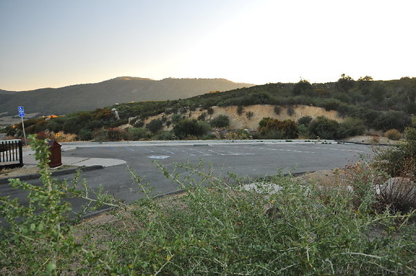 DSC 5177