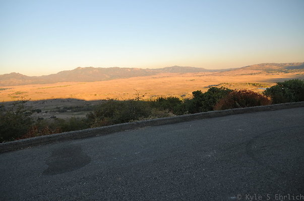 DSC 5161