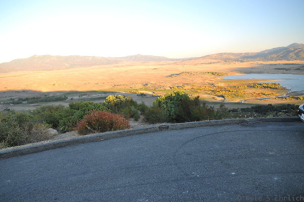 DSC 5155