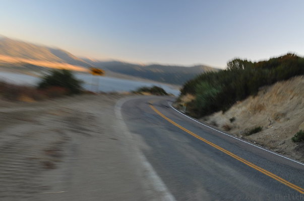 DSC 5121