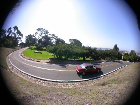 222 Presidio Dr-WP390 SD